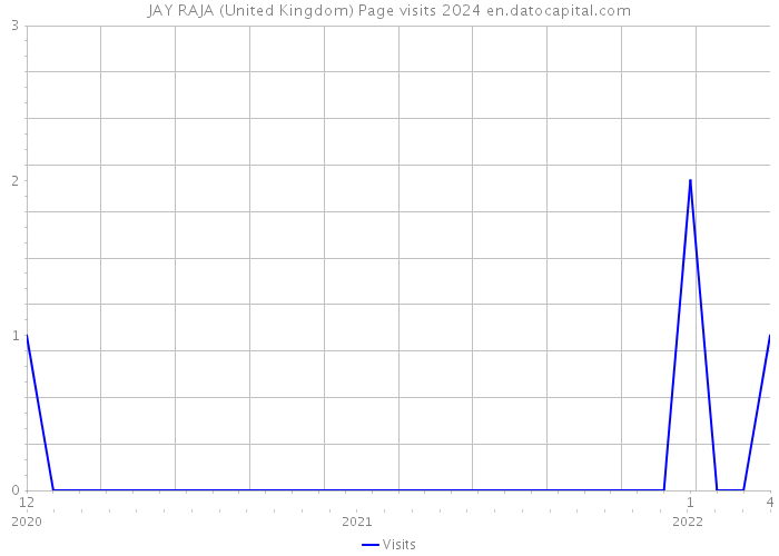 JAY RAJA (United Kingdom) Page visits 2024 