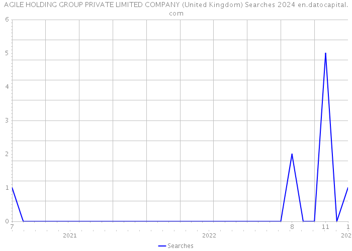 AGILE HOLDING GROUP PRIVATE LIMITED COMPANY (United Kingdom) Searches 2024 
