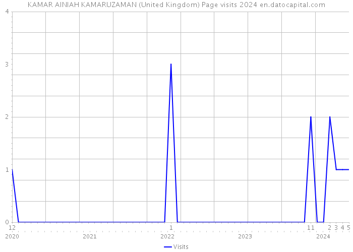 KAMAR AINIAH KAMARUZAMAN (United Kingdom) Page visits 2024 