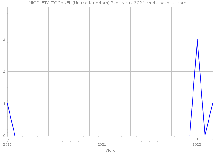 NICOLETA TOCANEL (United Kingdom) Page visits 2024 