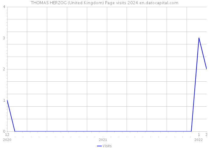 THOMAS HERZOG (United Kingdom) Page visits 2024 
