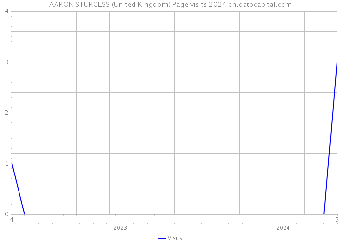AARON STURGESS (United Kingdom) Page visits 2024 