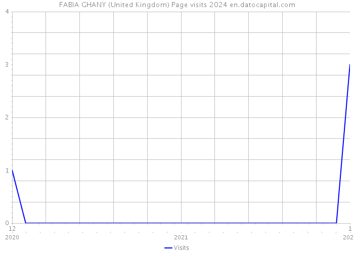 FABIA GHANY (United Kingdom) Page visits 2024 