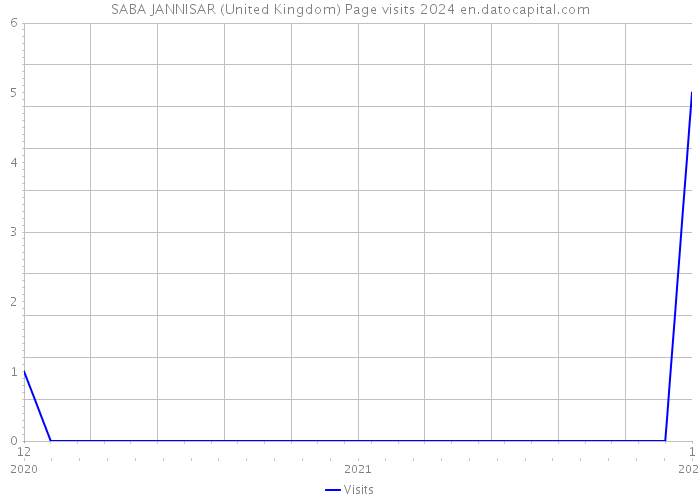 SABA JANNISAR (United Kingdom) Page visits 2024 