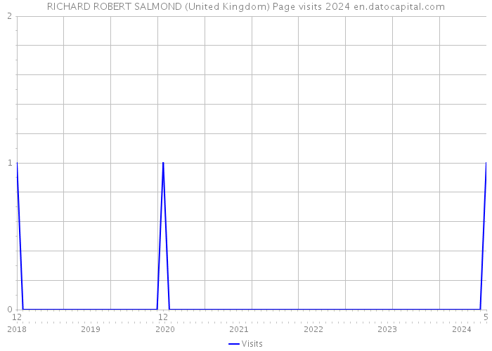 RICHARD ROBERT SALMOND (United Kingdom) Page visits 2024 