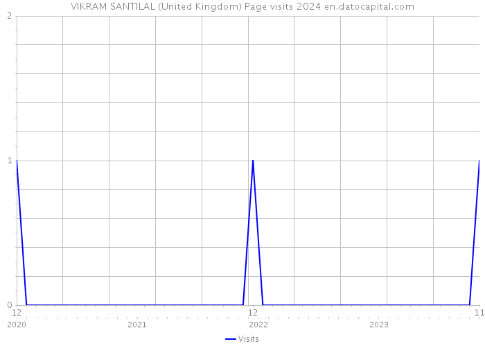 VIKRAM SANTILAL (United Kingdom) Page visits 2024 