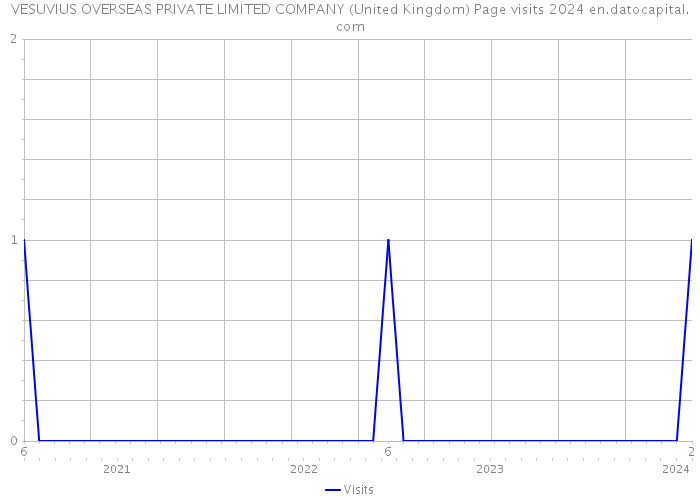 VESUVIUS OVERSEAS PRIVATE LIMITED COMPANY (United Kingdom) Page visits 2024 