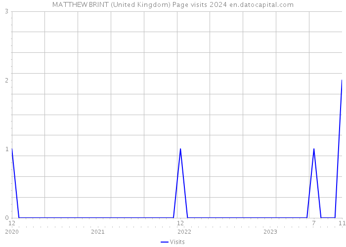 MATTHEW BRINT (United Kingdom) Page visits 2024 