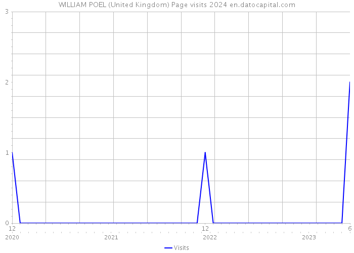 WILLIAM POEL (United Kingdom) Page visits 2024 