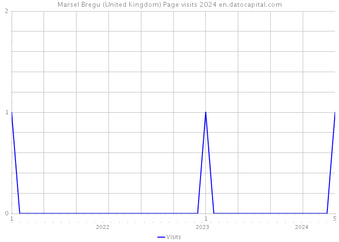 Marsel Bregu (United Kingdom) Page visits 2024 