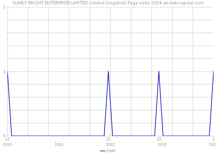 SUNNY BRIGHT ENTERPRISE LIMITED (United Kingdom) Page visits 2024 