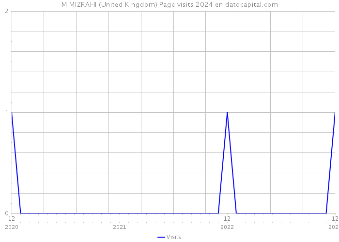 M MIZRAHI (United Kingdom) Page visits 2024 
