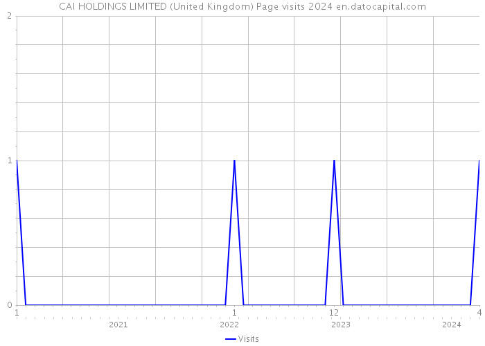 CAI HOLDINGS LIMITED (United Kingdom) Page visits 2024 