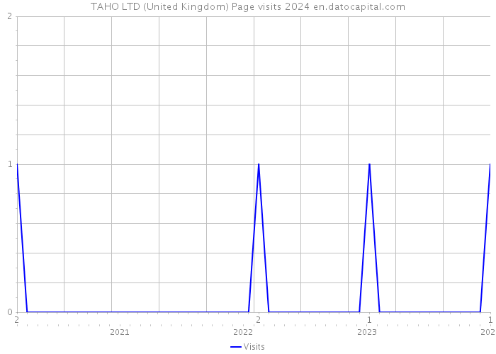 TAHO LTD (United Kingdom) Page visits 2024 
