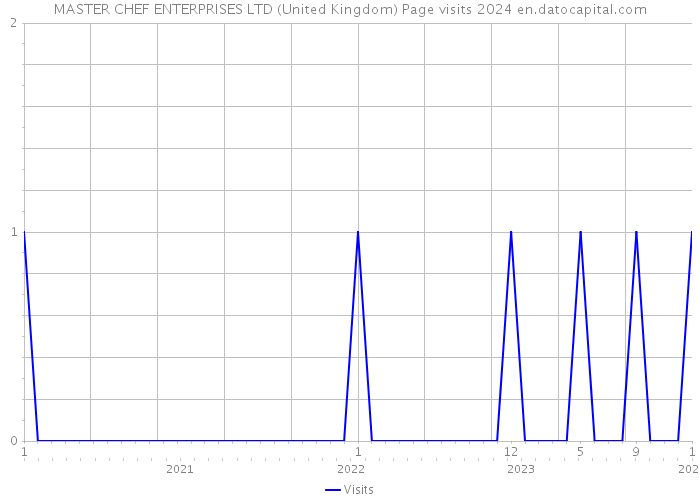 MASTER CHEF ENTERPRISES LTD (United Kingdom) Page visits 2024 