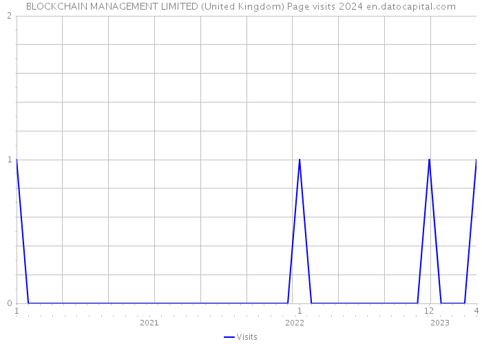 BLOCKCHAIN MANAGEMENT LIMITED (United Kingdom) Page visits 2024 