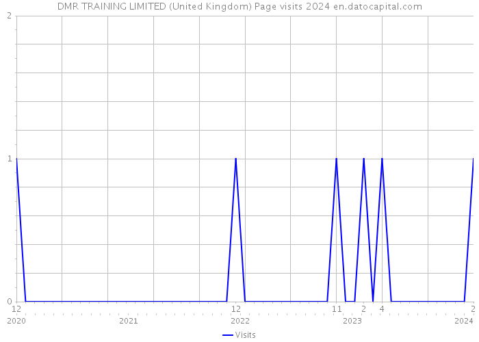 DMR TRAINING LIMITED (United Kingdom) Page visits 2024 