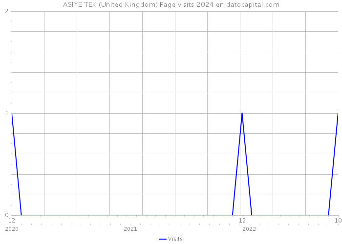 ASIYE TEK (United Kingdom) Page visits 2024 