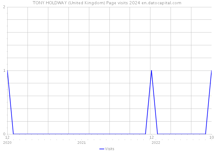 TONY HOLDWAY (United Kingdom) Page visits 2024 