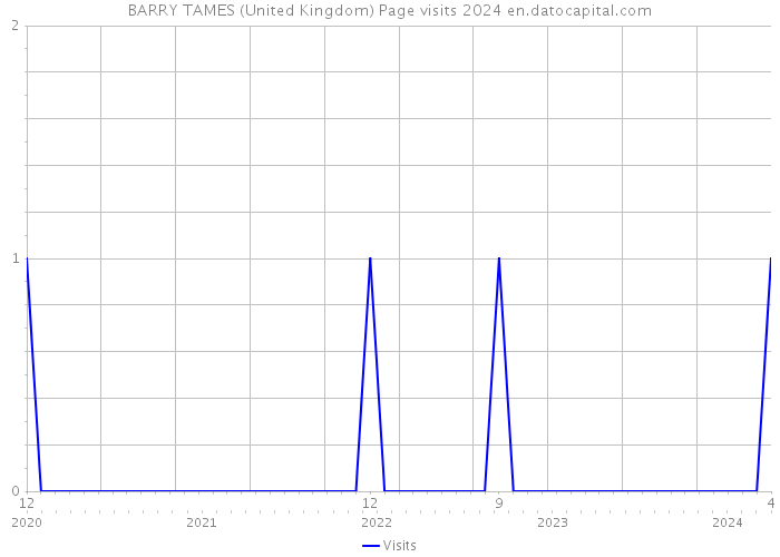 BARRY TAMES (United Kingdom) Page visits 2024 