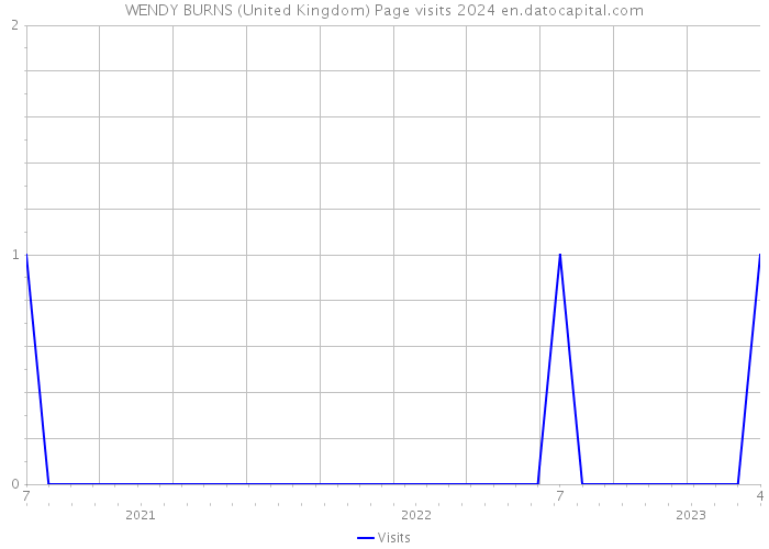 WENDY BURNS (United Kingdom) Page visits 2024 