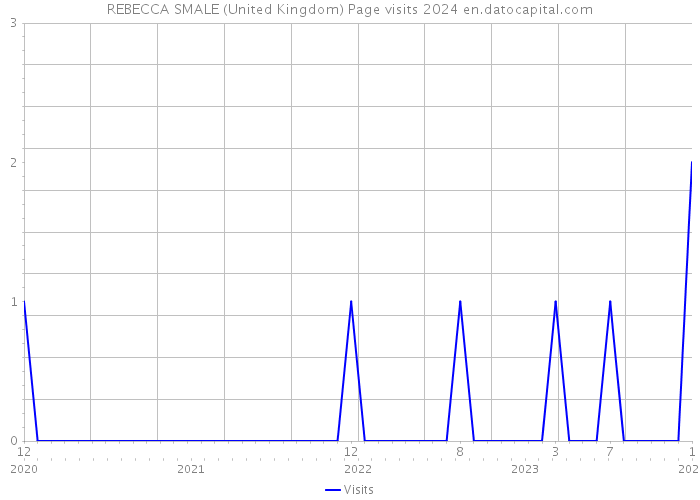 REBECCA SMALE (United Kingdom) Page visits 2024 