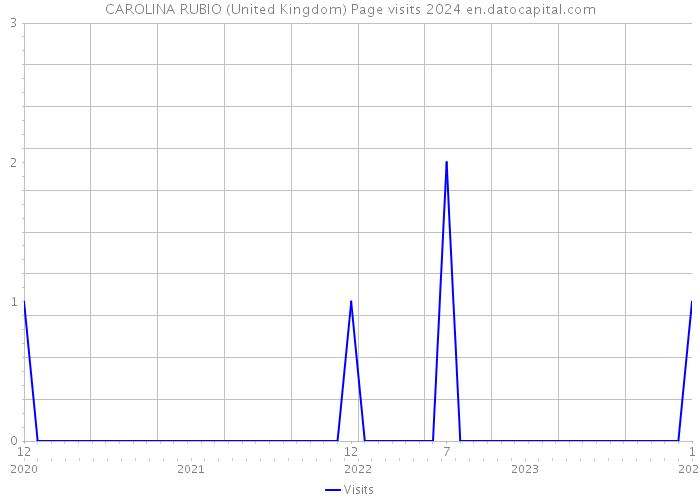 CAROLINA RUBIO (United Kingdom) Page visits 2024 
