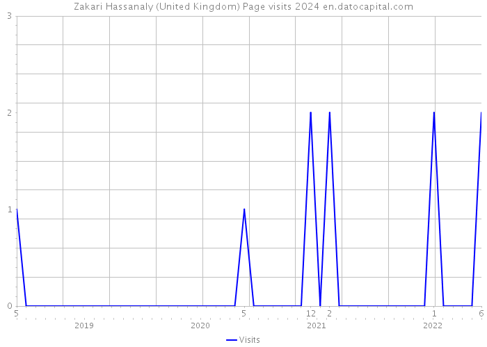 Zakari Hassanaly (United Kingdom) Page visits 2024 