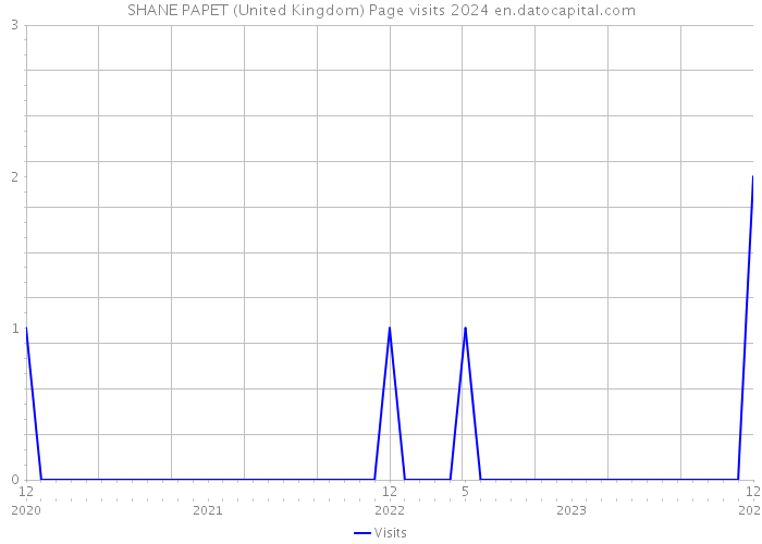 SHANE PAPET (United Kingdom) Page visits 2024 