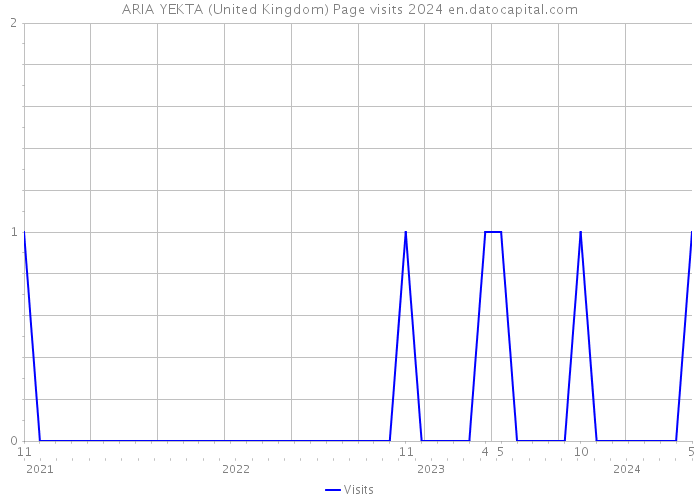ARIA YEKTA (United Kingdom) Page visits 2024 