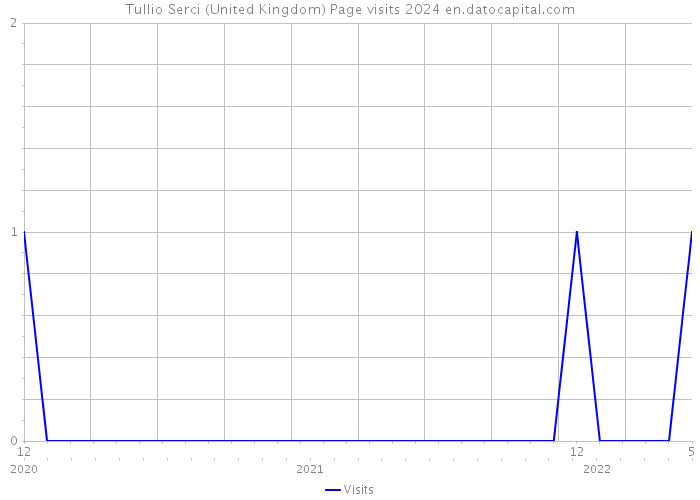 Tullio Serci (United Kingdom) Page visits 2024 