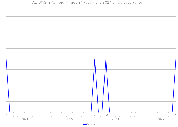 ALI WASFY (United Kingdom) Page visits 2024 