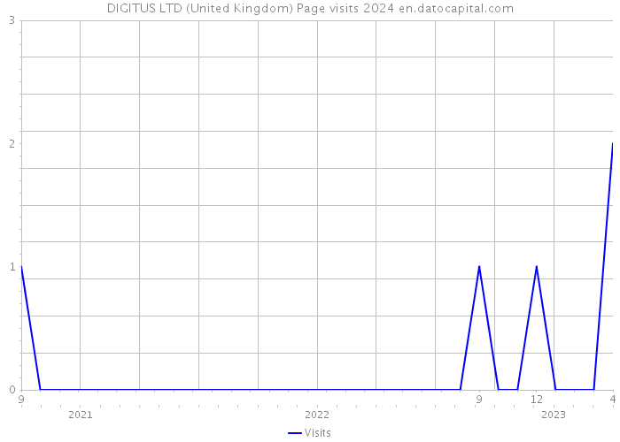 DIGITUS LTD (United Kingdom) Page visits 2024 