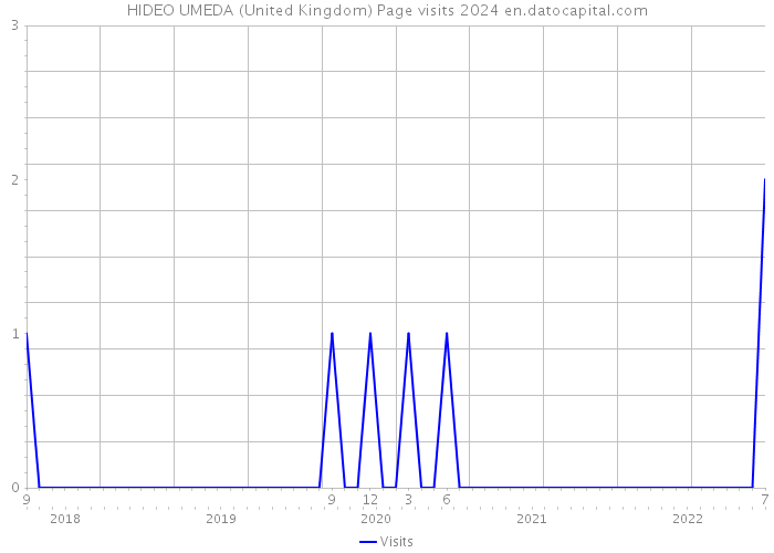 HIDEO UMEDA (United Kingdom) Page visits 2024 