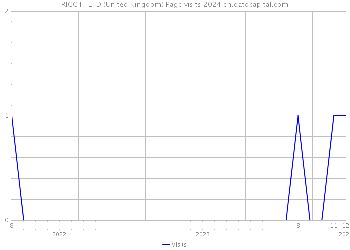 RICC IT LTD (United Kingdom) Page visits 2024 