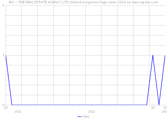 BIG - THE REAL ESTATE AGENCY LTD (United Kingdom) Page visits 2024 