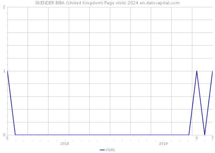 SKENDER BIBA (United Kingdom) Page visits 2024 