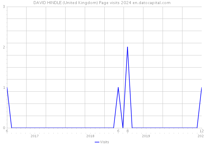 DAVID HINDLE (United Kingdom) Page visits 2024 