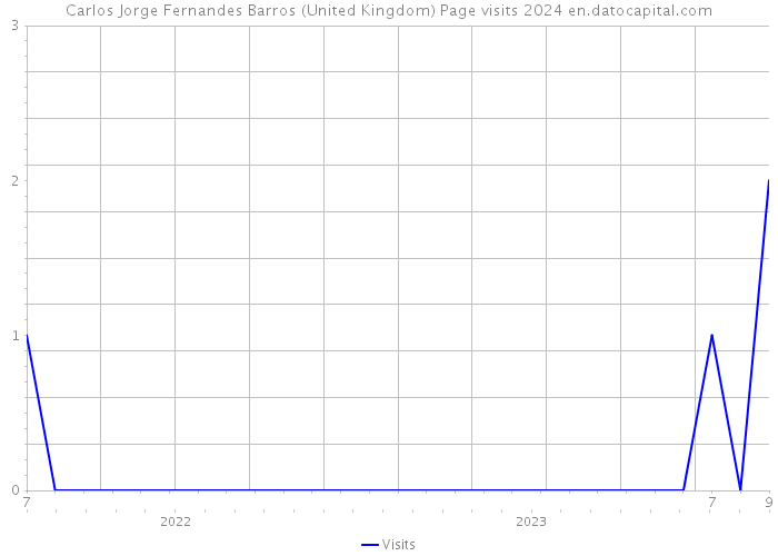 Carlos Jorge Fernandes Barros (United Kingdom) Page visits 2024 