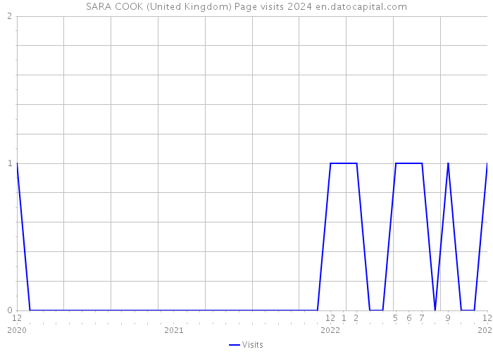 SARA COOK (United Kingdom) Page visits 2024 