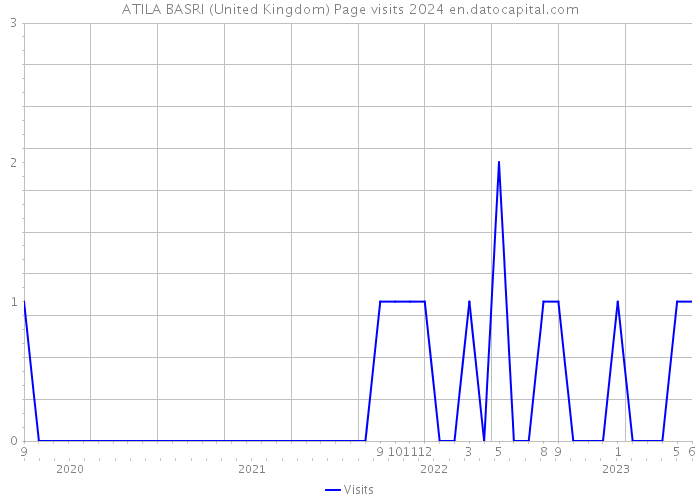 ATILA BASRI (United Kingdom) Page visits 2024 