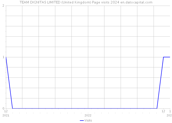 TEAM DIGNITAS LIMITED (United Kingdom) Page visits 2024 