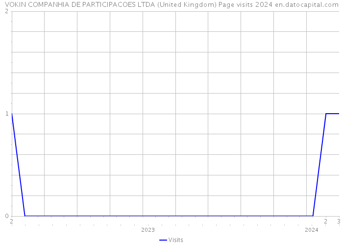 VOKIN COMPANHIA DE PARTICIPACOES LTDA (United Kingdom) Page visits 2024 