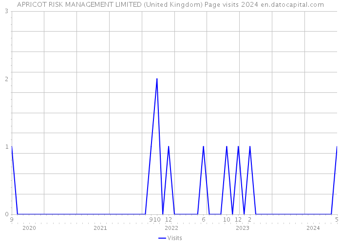 APRICOT RISK MANAGEMENT LIMITED (United Kingdom) Page visits 2024 