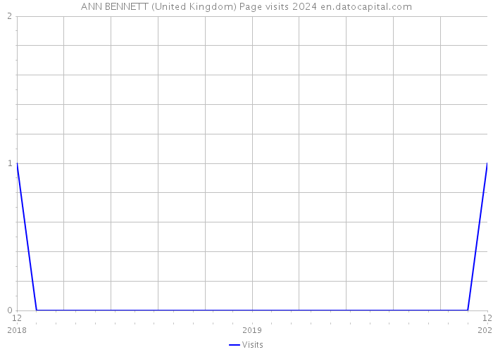 ANN BENNETT (United Kingdom) Page visits 2024 