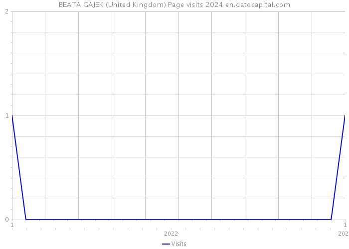 BEATA GAJEK (United Kingdom) Page visits 2024 