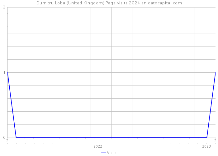 Dumitru Loba (United Kingdom) Page visits 2024 