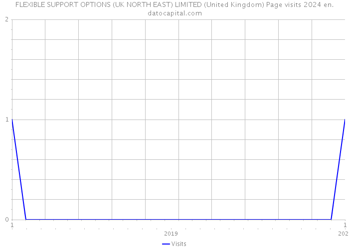 FLEXIBLE SUPPORT OPTIONS (UK NORTH EAST) LIMITED (United Kingdom) Page visits 2024 