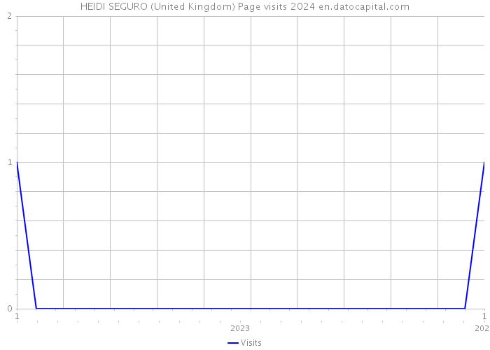 HEIDI SEGURO (United Kingdom) Page visits 2024 