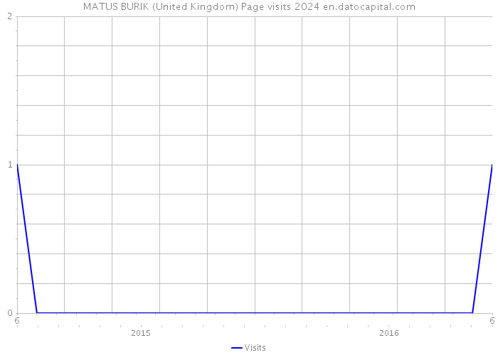 MATUS BURIK (United Kingdom) Page visits 2024 